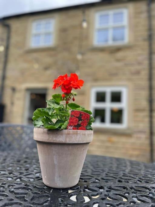 Olive Holiday Cottage Matlock Matlock  Dış mekan fotoğraf